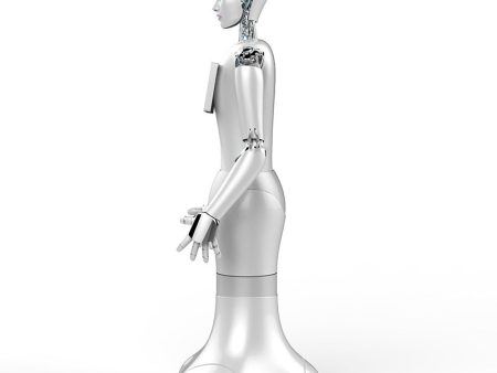 WO-WE Humanoid robots with artificial intelligence, commercial robot service robots humanoid robots For Cheap