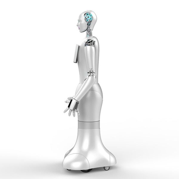 WO-WE Humanoid robots with artificial intelligence, commercial robot service robots humanoid robots For Cheap