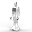 WO-WE Humanoid robots with artificial intelligence, commercial robot service robots humanoid robots For Cheap