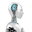 WO-WE Humanoid robots with artificial intelligence, commercial robot service robots humanoid robots For Cheap