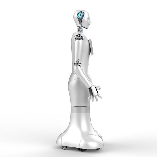 WO-WE Humanoid robots with artificial intelligence, commercial robot service robots humanoid robots For Cheap