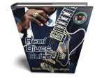 BLUES Guitar Real -Large Perfect WAVE Samples Loops Library  Online