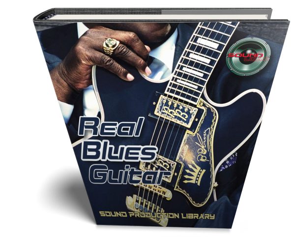 BLUES Guitar Real -Large Perfect WAVE Samples Loops Library  Online