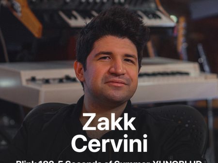 Zakk Cervini - ToneHub Preset Pack Online now