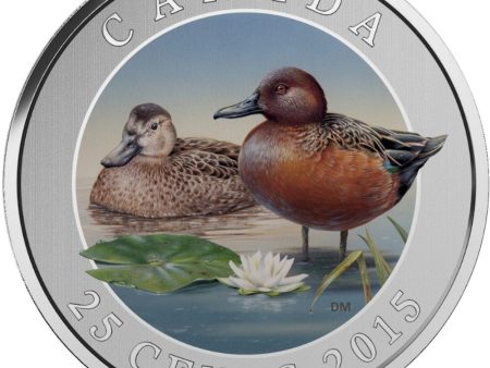 2015 25-cent Ducks of Canada - Cinnamon Teal Coloured Cupronickel Coin Sale