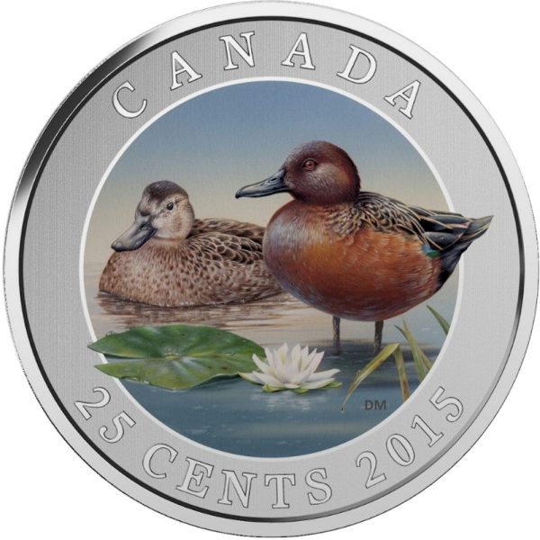 2015 25-cent Ducks of Canada - Cinnamon Teal Coloured Cupronickel Coin Sale