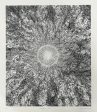 Psychedelic Sun 4  by Jacaeber Kastor Online Sale