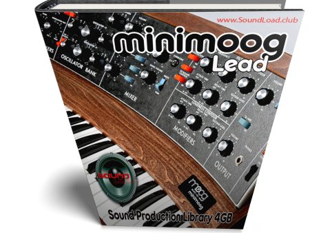 minimoog Lead - The KING of analog sounds - Large original WAVE Samples Studio Library Hot on Sale